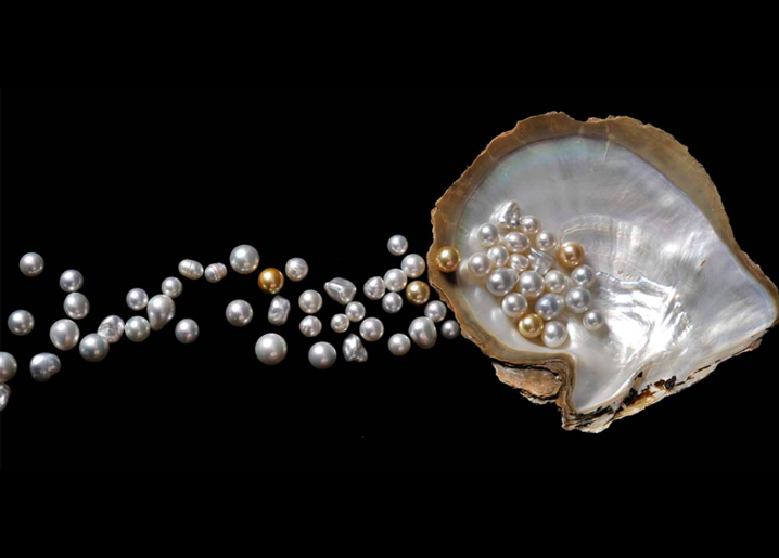 Perlas: Todo lo que necesitas saber sobre estos tesoros del mar